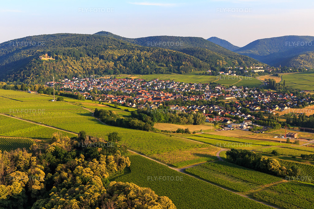 Luftbild: Weinort von Osten in Klingenmünster im Bundesland Rheinland-Pfalz in Deutschland. Foto: IMG_148553.jpg vom 18.06.2025 durch Werner Riehm/FLY-FOTO.de