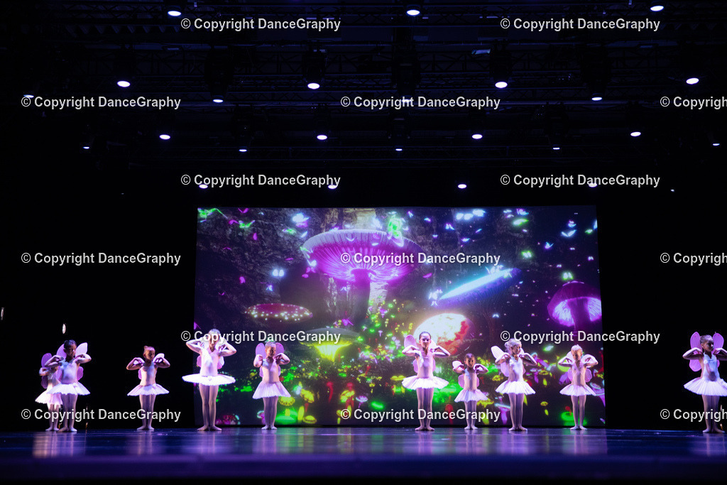 GPHY4746 | DanceGraphy - Realisiert mit Pictrs.com