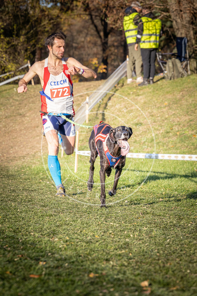 CaniXpix_0L8A0090 | Hundefotografie, Tierfotograf, Pfotenfotografie, Fotoshooting Hund, Hunde Portrait, Hundesport, Hundeportraits, Heideshooting, Hunde, Sportfotograf, Hundefotograf, Turnierhundsport, THS,  - Realisiert mit Pictrs.com