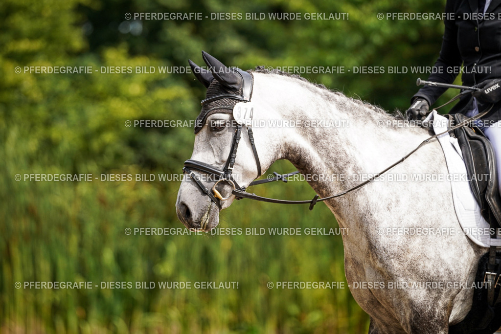 DSC07854 | Pferdegrafie