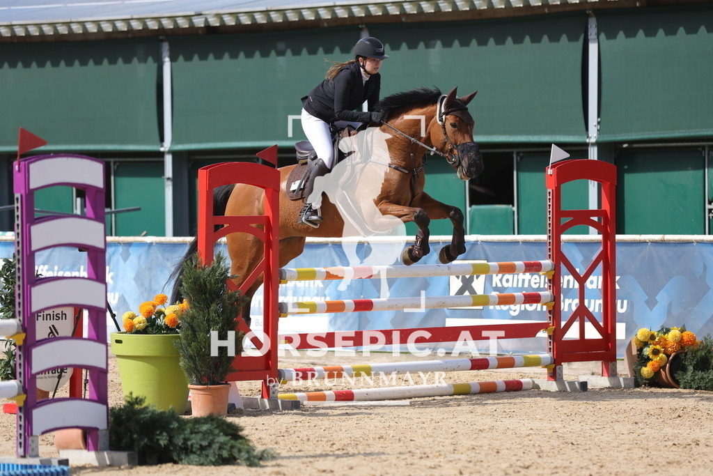 0P6A9395 | Willkommen bei Brunnmayr - Design & Fotografie – Ihrem Spezialisten für Reitturniere und Pferdeveranstaltungen in Oberösterreich, Salzburg und Bayern! Seit über 17 Jahren sind wir leidenschaftlich dabei.