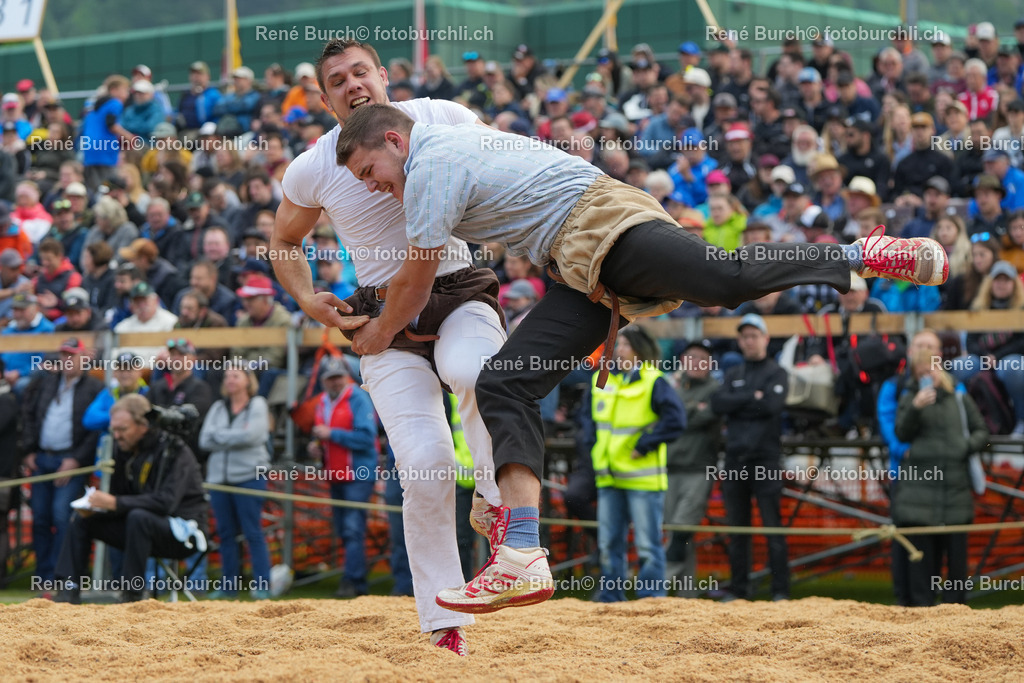 RB_08295-2 | René Burch leidenschaftlicher Fotograf aus Kerns in Obwalden.  Hier finden sie Sport, Landschaft und Natur Fotografie.
 - Realisiert mit Pictrs.com