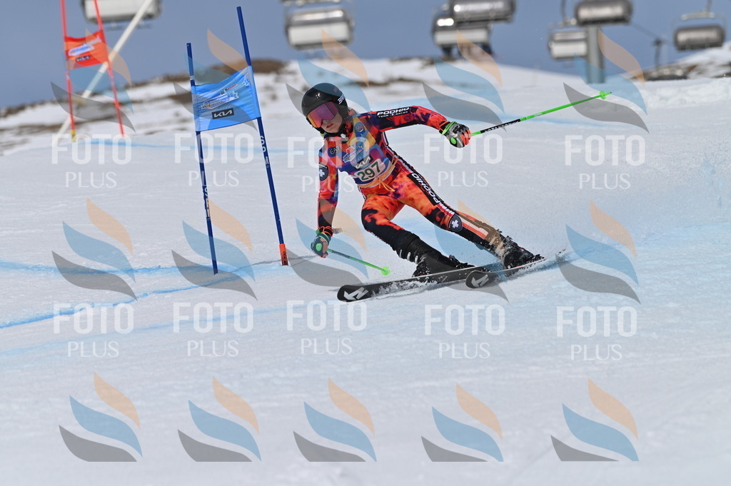 BGV_5921 | holidayphoto