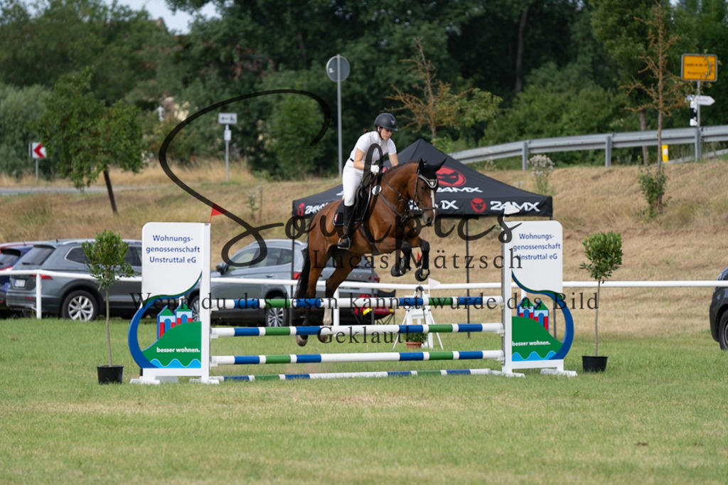 A7V01420 | Pferdefotograf