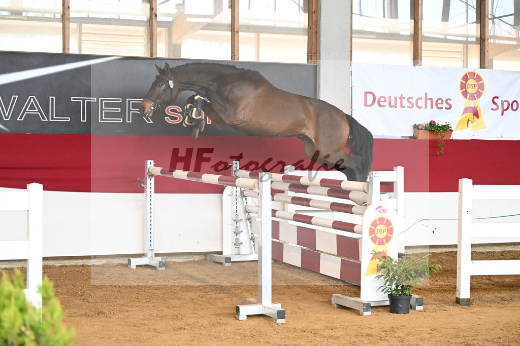 Kat-Nr. 47 Uno v. Uno I_Fuchs_7251045 | hf-fotografie - Realizzato con Pictrs.com