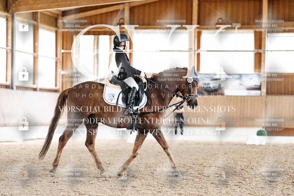 CK901708 | Turnierfotografie Pferdefotografie Trier Rheinland-Pfalz Pferdesport Reitsport Tierfotografie Sportfotografie Pferdevideo Pferdevideografie Equestrianvideography equestrianphotography  - Realisiert mit Pictrs.com