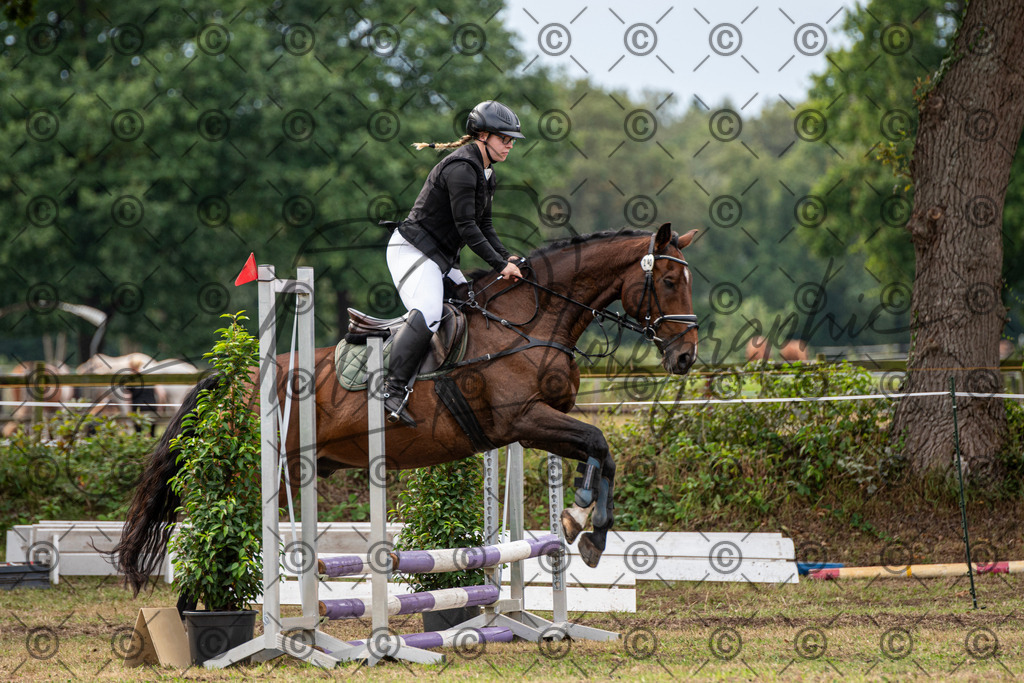 SHT_7554 | andre_photographic