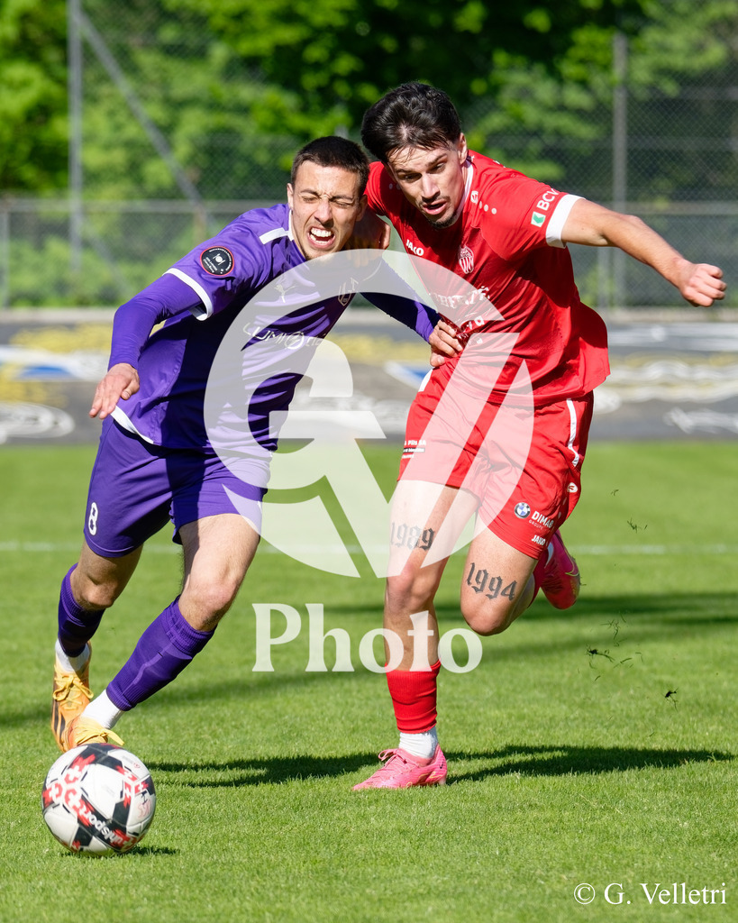 DSC_7024 | Velletri Photo