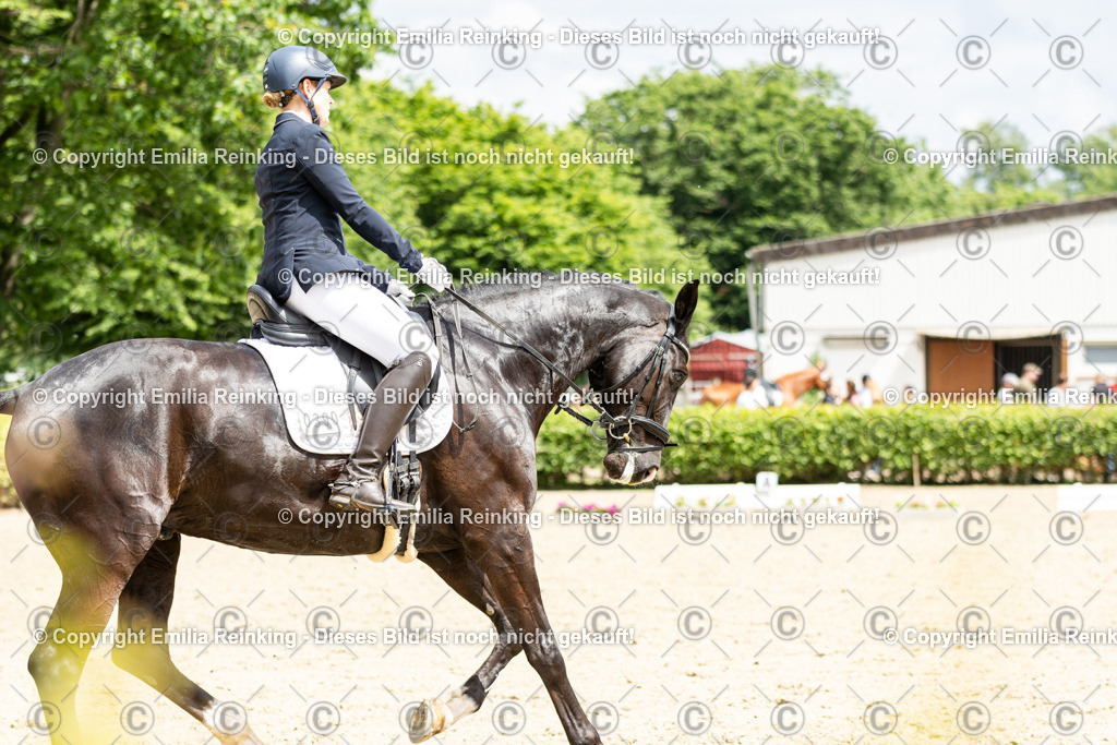 CL5A2152 | Emilia Reinking Fotografie - Realisiert mit Pictrs.com