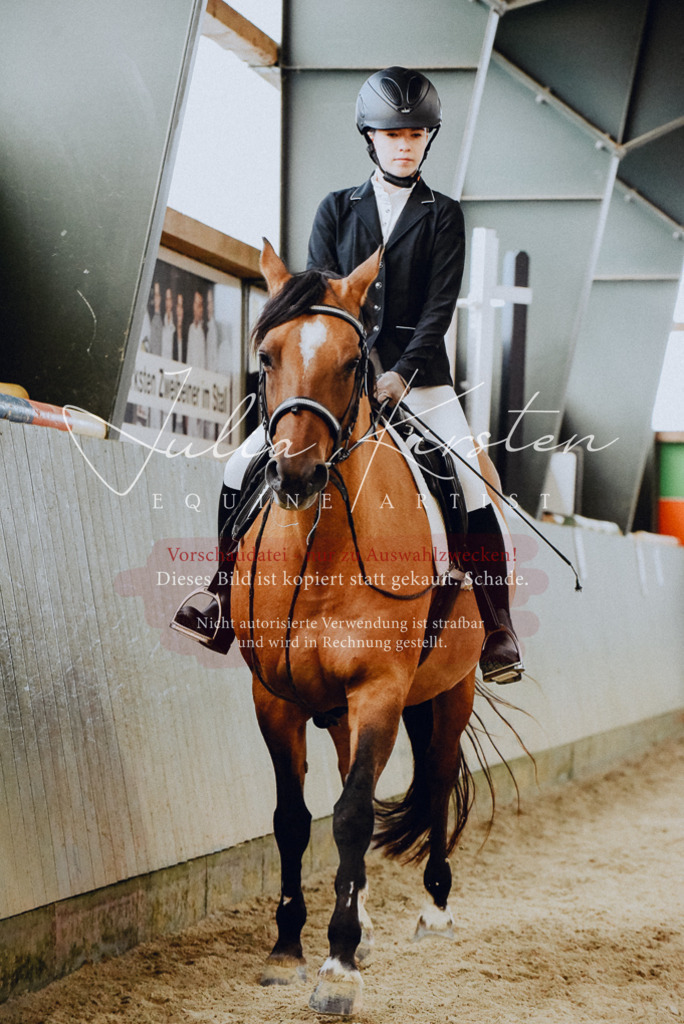 DSC_7307 | Pferde- und Turnierfotografie in Westsachsen. Pferdeportraits, Auftragszeichnungen und intuitive Kunst.