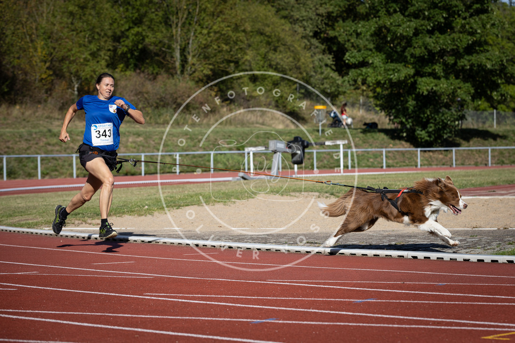 Pfotenfotografie_DV3A8712 | Hundefotografie, Tierfotograf, Pfotenfotografie, Fotoshooting Hund, Hunde Portrait, Hundesport, Hundeportraits, Heideshooting, Hunde, Sportfotograf, Hundefotograf, Turnierhundsport, THS,  - Realisiert mit Pictrs.com