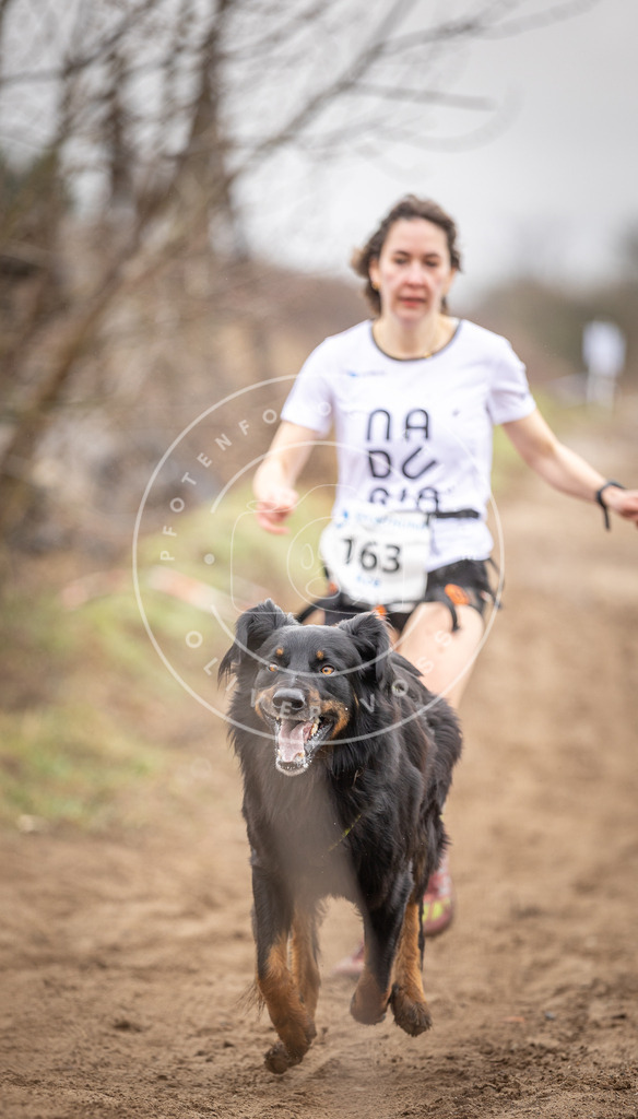 DV3A9621 | Hundefotografie, Tierfotograf, Pfotenfotografie, Fotoshooting Hund, Hunde Portrait, Hundesport, Hundeportraits, Heideshooting, Hunde, Sportfotograf, Hundefotograf, Turnierhundsport, THS,  - Realisiert mit Pictrs.com