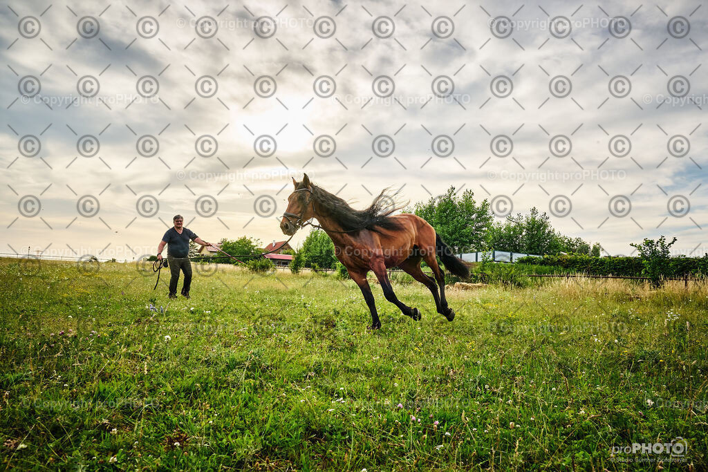 076_202406_Niki-Herodes_NZ9_9788 | proPHOTO - Realisiert mit Pictrs.com