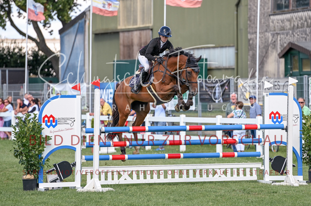 Schugtsche-Düren.2024-09.Springprf.L-177 | Schugtsche Fotografie - Realisiert mit Pictrs.com