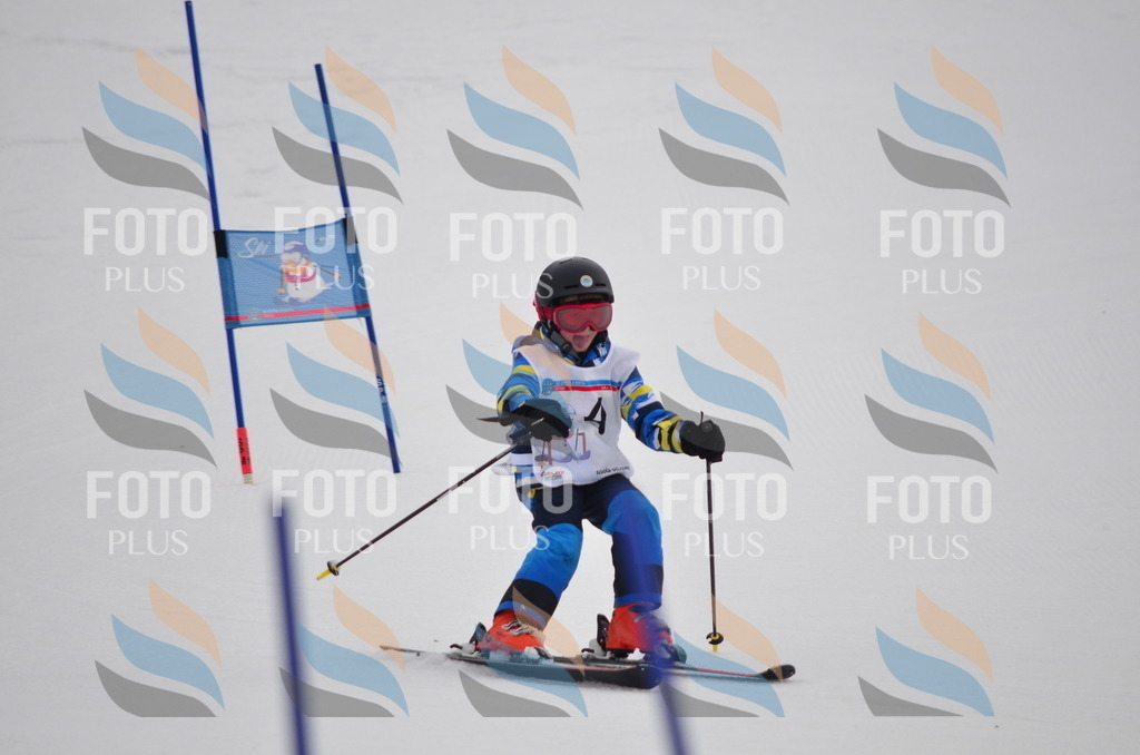 C0210 | holidayphoto