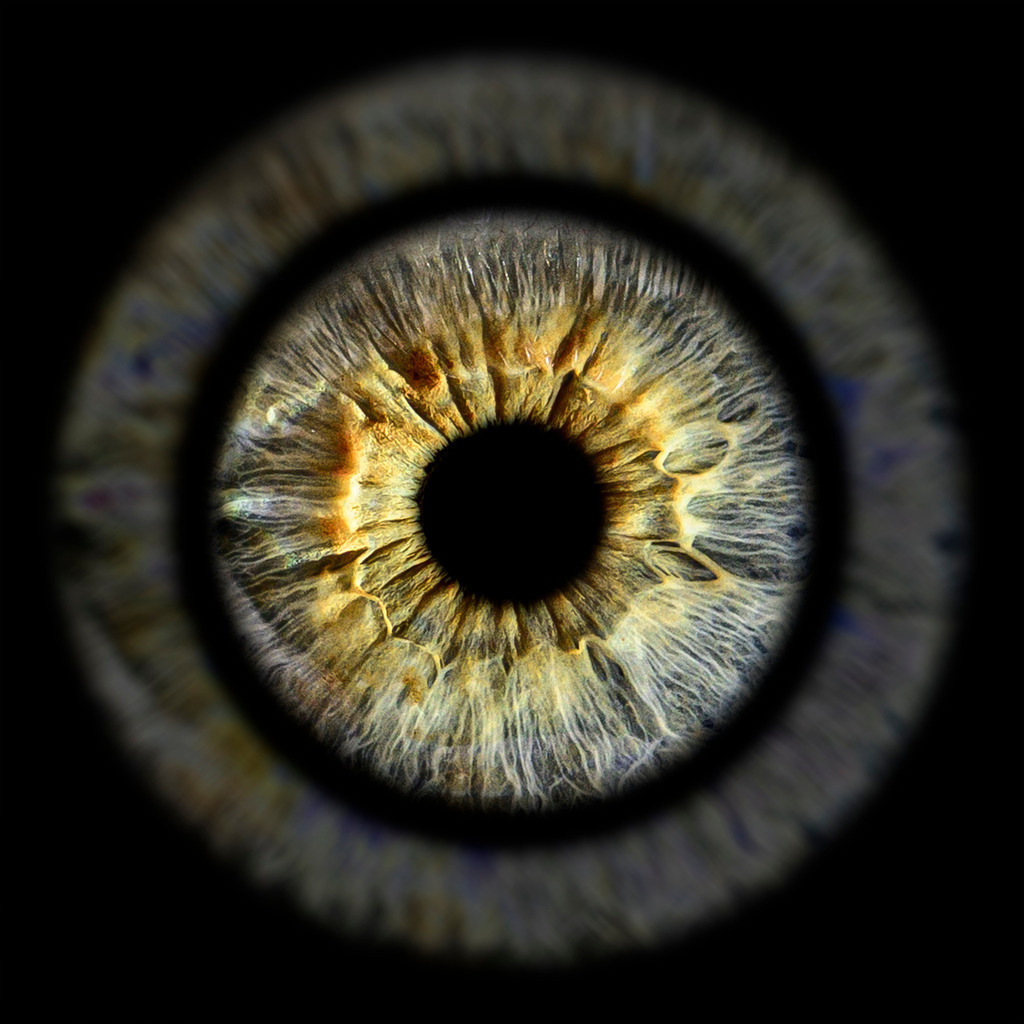 _DSC5085-Bearbeitet groß | Mittelrhein-Fotografie - Realisiert mit Pictrs.com