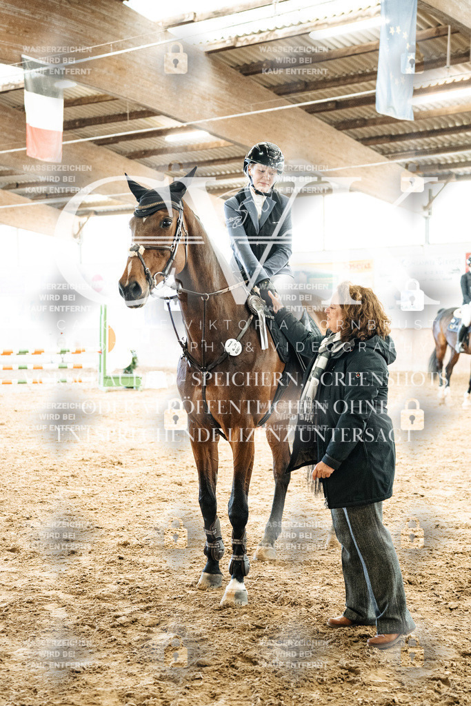 CK702883 | Turnierfotografie Pferdefotografie Trier Rheinland-Pfalz Pferdesport Reitsport Tierfotografie Sportfotografie Pferdevideo Pferdevideografie Equestrianvideography equestrianphotography  - Realisiert mit Pictrs.com