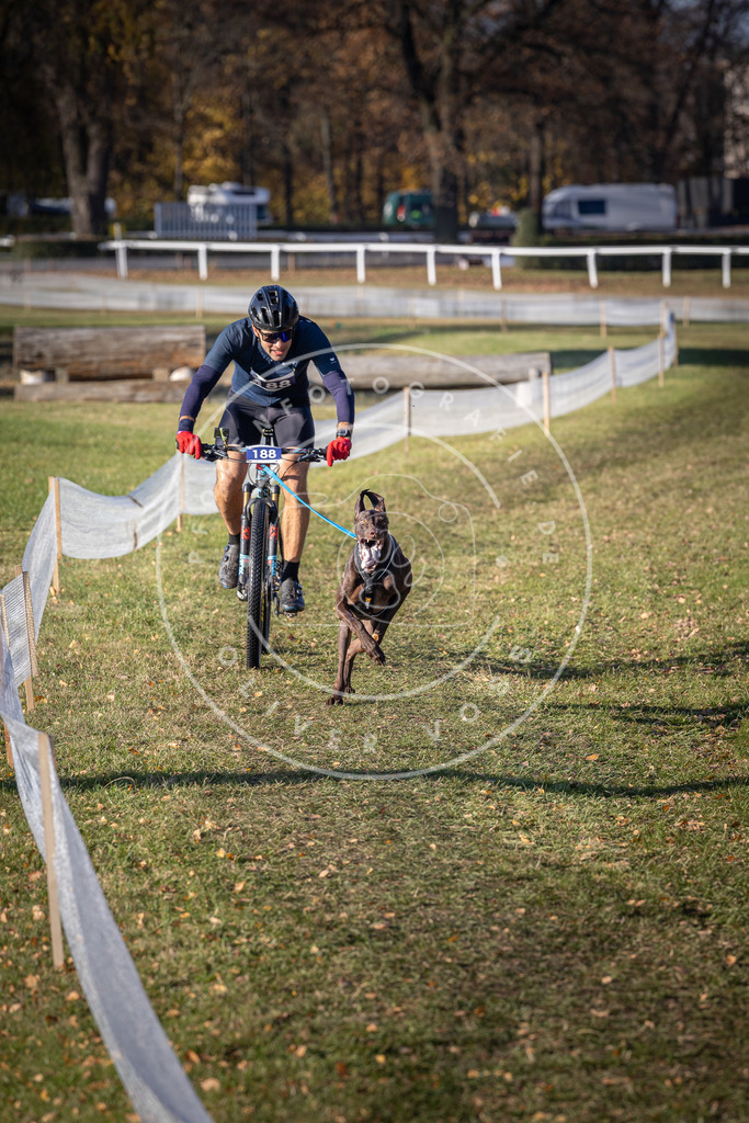 CaniXpix_DV3A2399 | Hundefotografie, Tierfotograf, Pfotenfotografie, Fotoshooting Hund, Hunde Portrait, Hundesport, Hundeportraits, Heideshooting, Hunde, Sportfotograf, Hundefotograf, Turnierhundsport, THS,  - Realisiert mit Pictrs.com