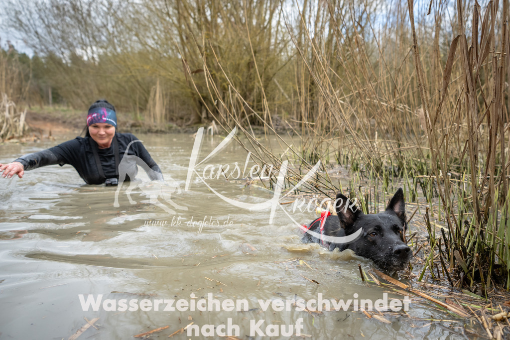 1600_ZZ95360 | kk-dogfotos