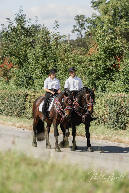 7V6A2641 | natalia-nirschl-photography