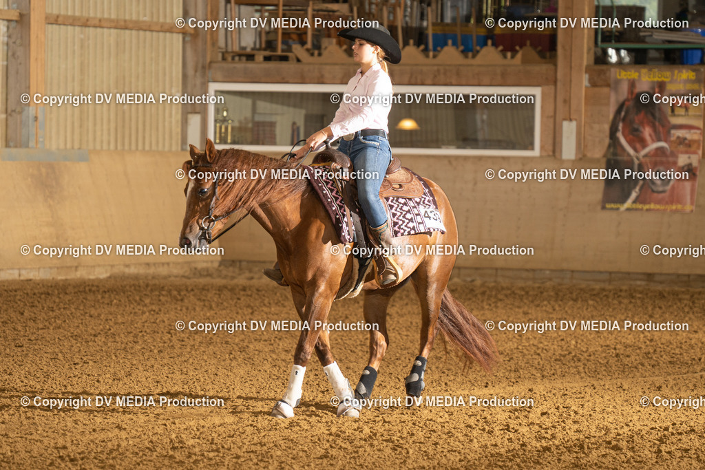 LAU00608 | dv-media-shop - Realisiert mit Pictrs.com