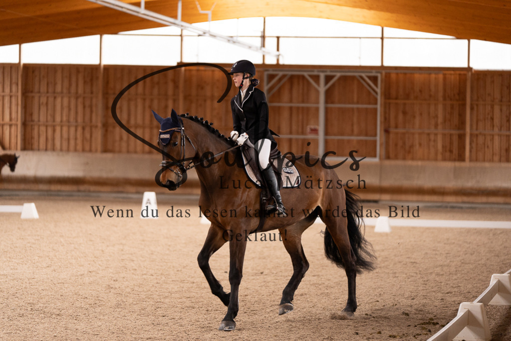 A7506990 | Turnier/Reitfotograf