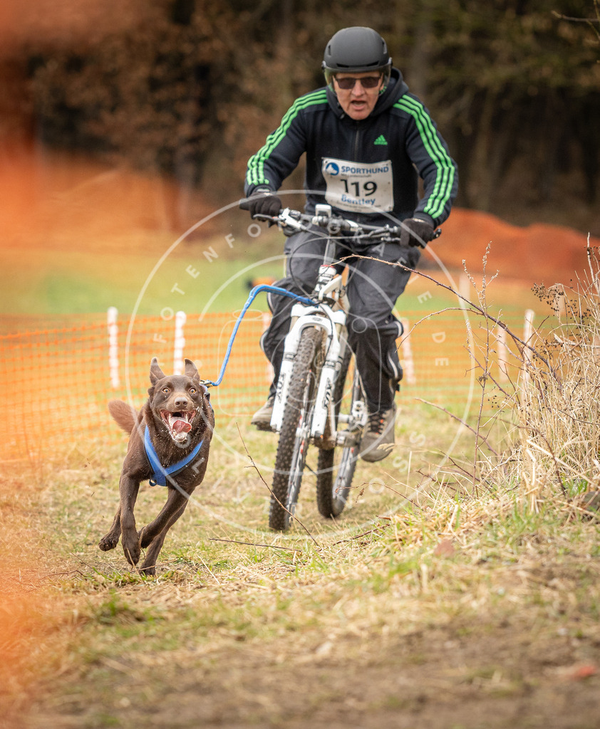 DV3A1025 | Hundefotografie, Tierfotograf, Pfotenfotografie, Fotoshooting Hund, Hunde Portrait, Hundesport, Hundeportraits, Heideshooting, Hunde, Sportfotograf, Hundefotograf, Turnierhundsport, THS,  - Realisiert mit Pictrs.com