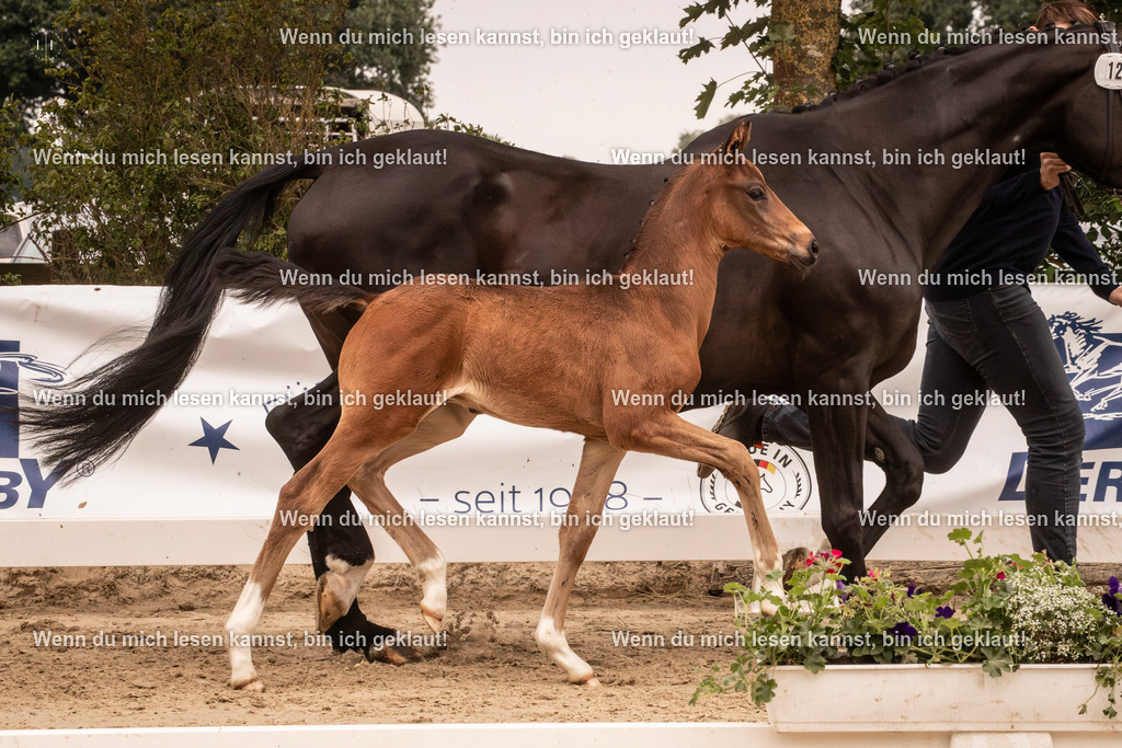 A10I0525-Verbessert-RR | photographylinaismer - Realisiert mit Pictrs.com