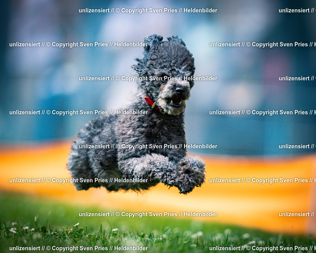 Sven Pries | 2025-05-29 - Pudelrennen KA-Durlach - Realisiert mit Pictrs.com