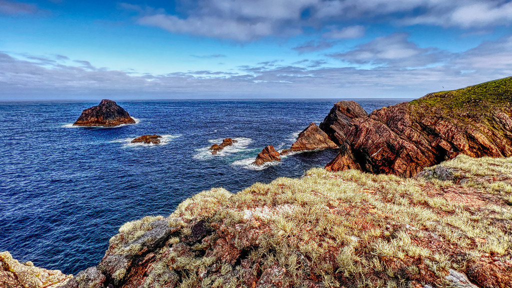 Erris Head | www-pimpup-me - Realisiert mit Pictrs.com