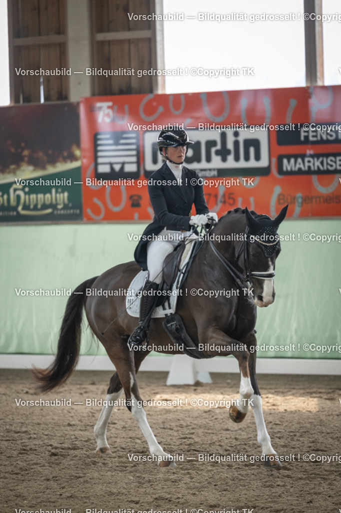 _D5A5003 | Emotionale Pferde- & People-Fotografie rund um Heidelberg, Leimen & Umgebung. Natürliche Fotos von Pferd, Mensch & Familie. Jetzt Termin sichern!