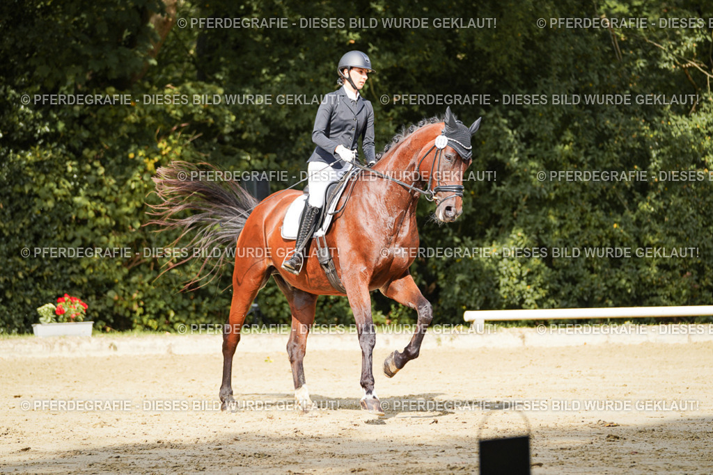 DSC02371 | Pferdegrafie