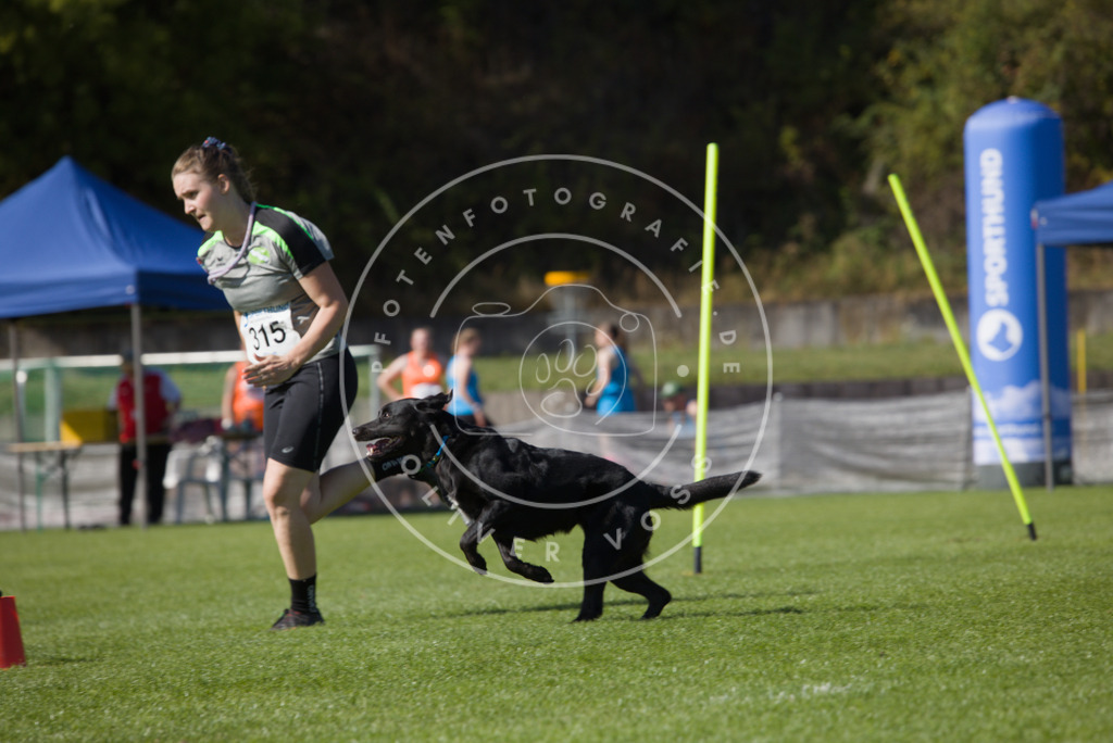 0L8A8144 | Hundefotografie, Tierfotograf, Pfotenfotografie, Fotoshooting Hund, Hunde Portrait, Hundesport, Hundeportraits, Heideshooting, Hunde, Sportfotograf, Hundefotograf, Turnierhundsport, THS,  - Realisiert mit Pictrs.com