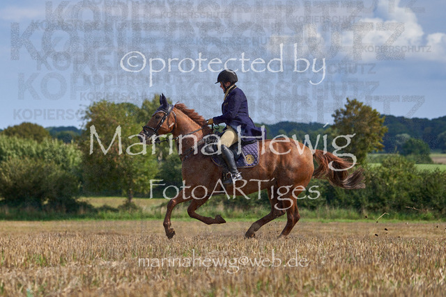 08-23 Bredeneek Jagd_MCH9037_Marina Hewig | Fotografie, FotoArt, PferdesportArt, Pferdesportfotografie, Landschaftsfotografie, Reisefotografie, Reise, Pferde - Realisiert mit Pictrs.com