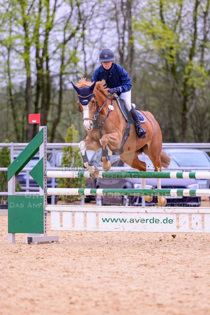 12042026-Mammendorf-Prfg42-0425 | Fokus Hufschlag Fotografie - Realisiert mit Pictrs.com