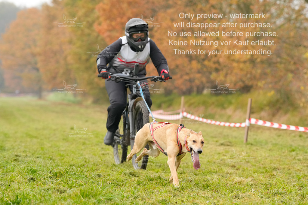 Visbeck_Sa_Bike-281 | stephaniefillaphotographie - Realisiert mit Pictrs.com