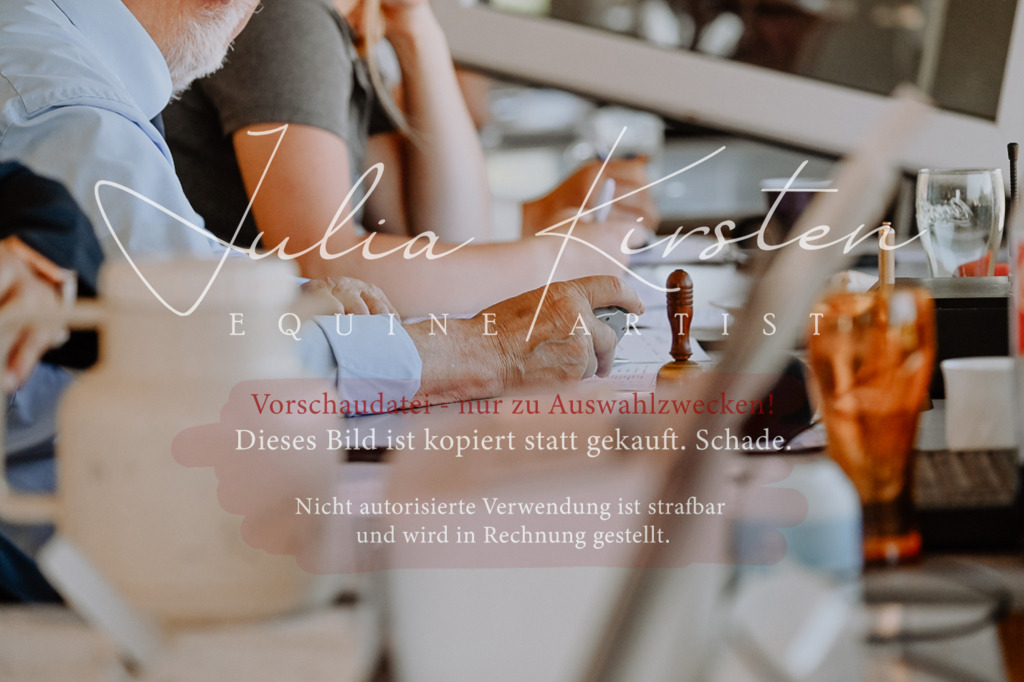 DSC_2000 | Pferde- und Turnierfotografie in Westsachsen. Pferdeportraits, Auftragszeichnungen und intuitive Kunst.