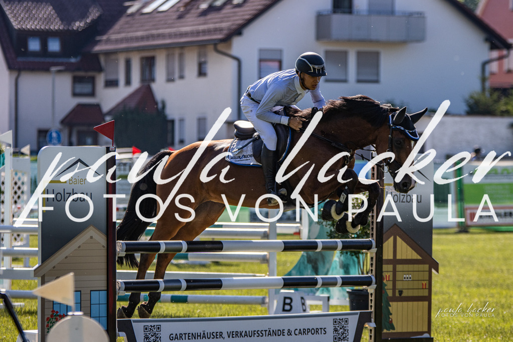 IMG_0048 | Erleben Sie dynamische Sport- und emotionale Tierfotografie in Süddeutschland mit Fotos von Paula. Spezialisiert auf Pferde- und Hundefotografie sowie Sportevents. Kontaktieren Sie mich für einzigartige und ausdrucksstarke Bilder Ihrer besonderen Momente. - Realisiert mit Pictrs.com