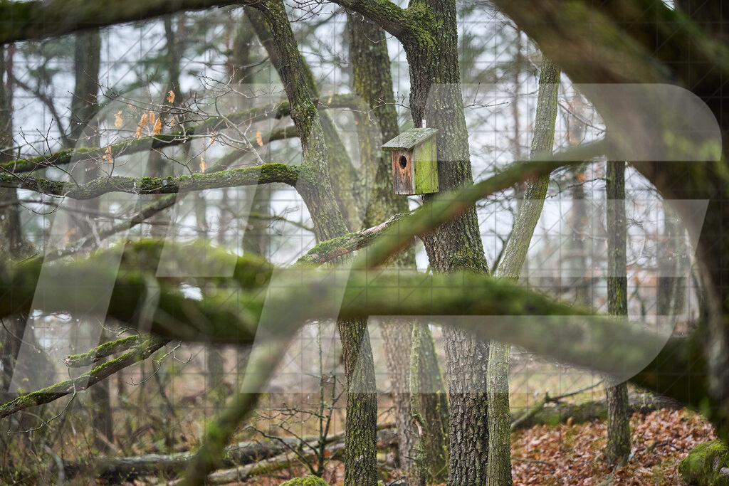 33. KTM Kamptal Trophy | 29.03.2025: 33. KTM Kamptal Trophy in Zöbing, Niederösterreich, ÖsterreichFoto: © 2025 Martin Bihounek / martinbihounek.comInsta: @martinbihounekcomFB: @martinbihounekphotography
