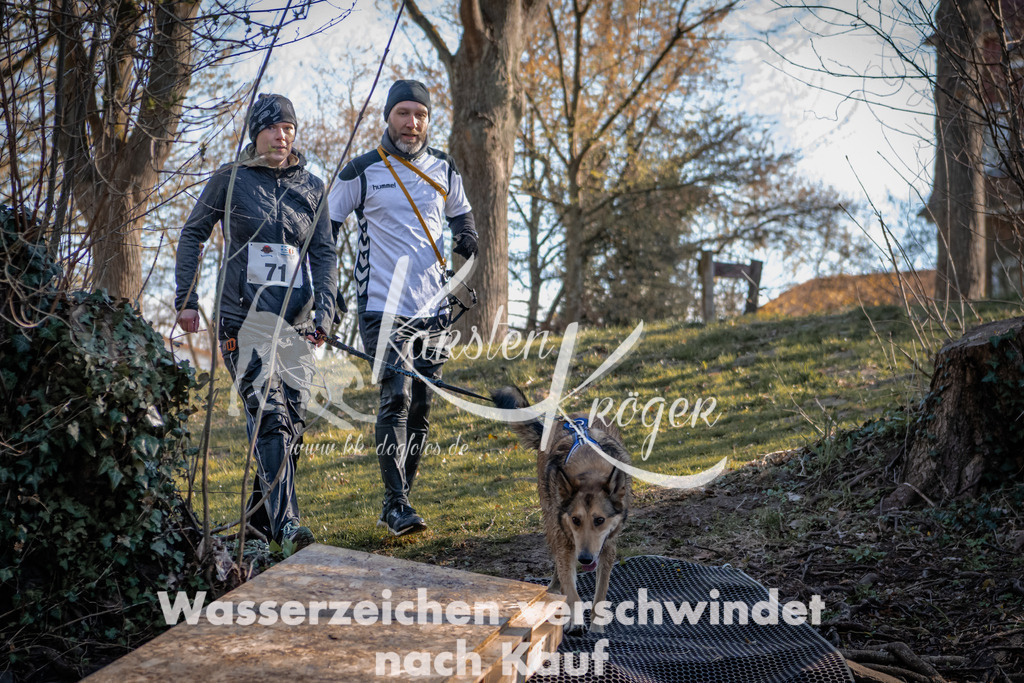 0815_ZZ90291 | kk-dogfotos