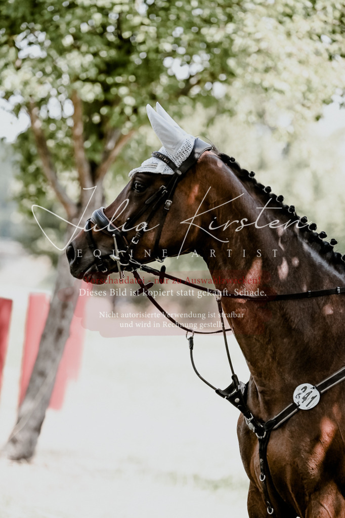 DSC_9496 | Pferde- und Turnierfotografie in Westsachsen. Pferdeportraits, Auftragszeichnungen und intuitive Kunst.