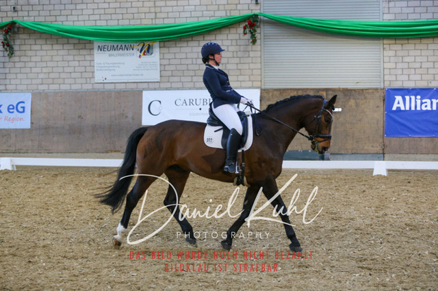 IMG_2731 | Turnierfotos kaufen im Webshop von Daniel Kuhl Photography – entdecke professionelle Reitsportfotos aus Turnieren & Events. Hochwertige Turnierbilder online bestellen & sichern. Jetzt Fotos von Reitsportturnieren kaufen!
