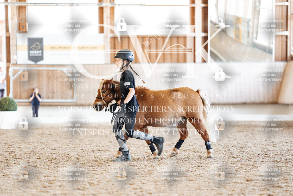 CK907003 | Turnierfotografie Pferdefotografie Trier Rheinland-Pfalz Pferdesport Reitsport Tierfotografie Sportfotografie Pferdevideo Pferdevideografie Equestrianvideography equestrianphotography  - Realisiert mit Pictrs.com