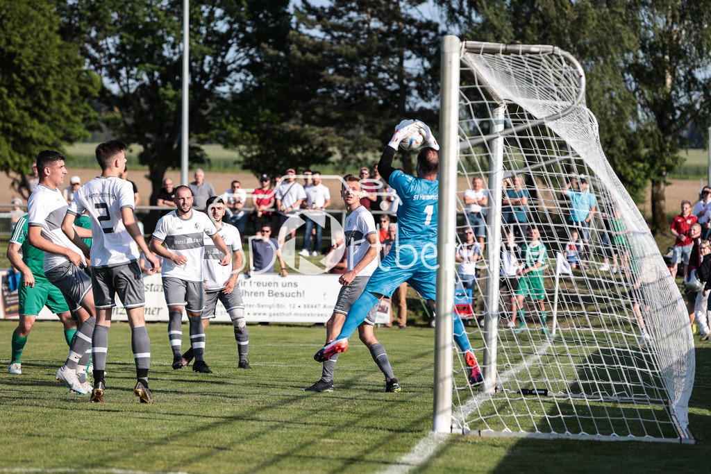 DJK Stotzard - SV Hammerschmiede | Professionelle Sportfotos aus den Bereichen Fußball, Eishockey, Handball und vieles mehr. Ob Sieg oder Niederlage