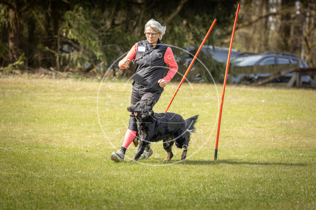 Pfotenfotografie_DV3A9595 | Hundefotografie, Tierfotograf, Pfotenfotografie, Fotoshooting Hund, Hunde Portrait, Hundesport, Hundeportraits, Heideshooting, Hunde, Sportfotograf, Hundefotograf, Turnierhundsport, THS,  - Realisiert mit Pictrs.com