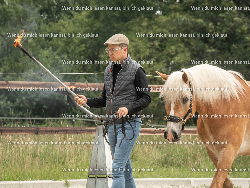 598A7135 | photographylinaismer - Realisiert mit Pictrs.com