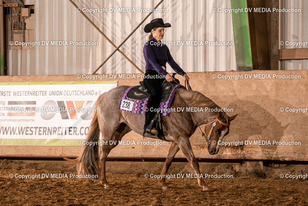 BAL00096 | dv-media-shop - Realisiert mit Pictrs.com