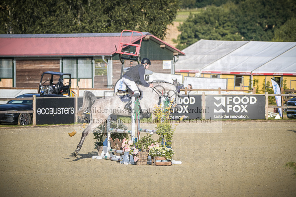 DOS_7165 | Entdecke hochwertige Reitturnierfotos von Foto Oger. Professionell, emotional und authentisch – jetzt Lieblingsmomente im Shop bestellen.Deutschlandweite Turnierfotografie. - Realisiert mit Pictrs.com