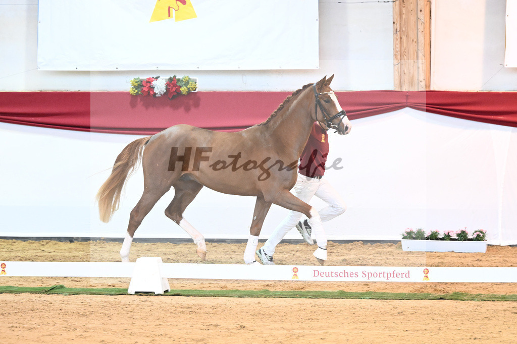 Kat-Nr. 5 Benicio x Florencio I_Lechl_43231604 | hf-fotografie - Realisiert mit Pictrs.com