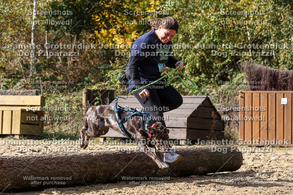 Dog Paparazzi - Strongdog 10-25-5312 | Dog Paparazzi Jeanette Grottendiek Fotografie & Videografie - Realisiert mit Pictrs.com